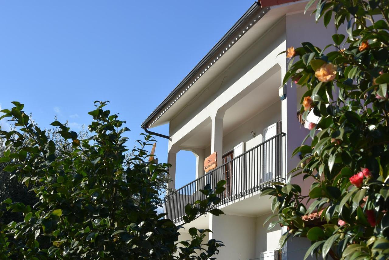 Casa Mouramortina Vila Nova de Poiares Εξωτερικό φωτογραφία
